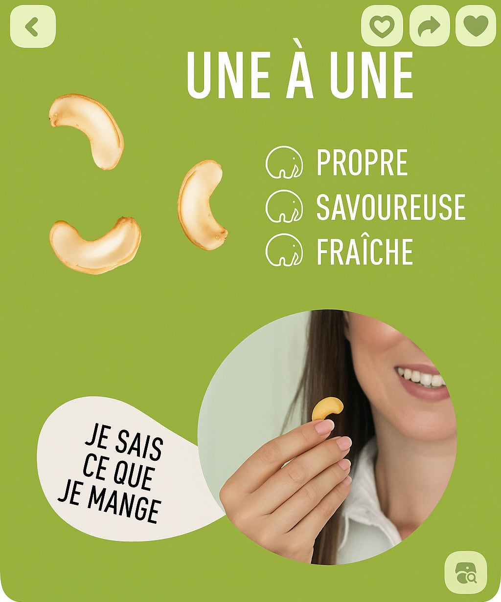 Noix de cajou crues, Moitiés, 1 kg – fraîches, naturelles & croquantes